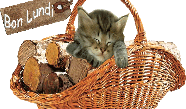 CHAT - TASTROPHE