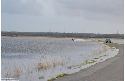 kitesurf , wakeboard ou ski nautique ?