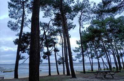 EB - 2 janvier 2023, 8 h 30, plage de l'Aérium...