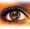 Yeux : exercices choisis