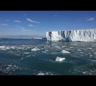 Navigation le long de la falaise de glace Bråsvell avec ses cascades (Nordaustlandet Island), et balade en Zodiac le long des falaises d'Alkefjellet (Spitzberg Island) - Svalbard - Norvège