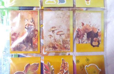 Petits animaux de la forêt en automne .