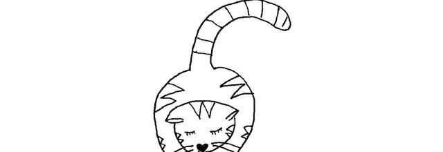 mon chat Sacha