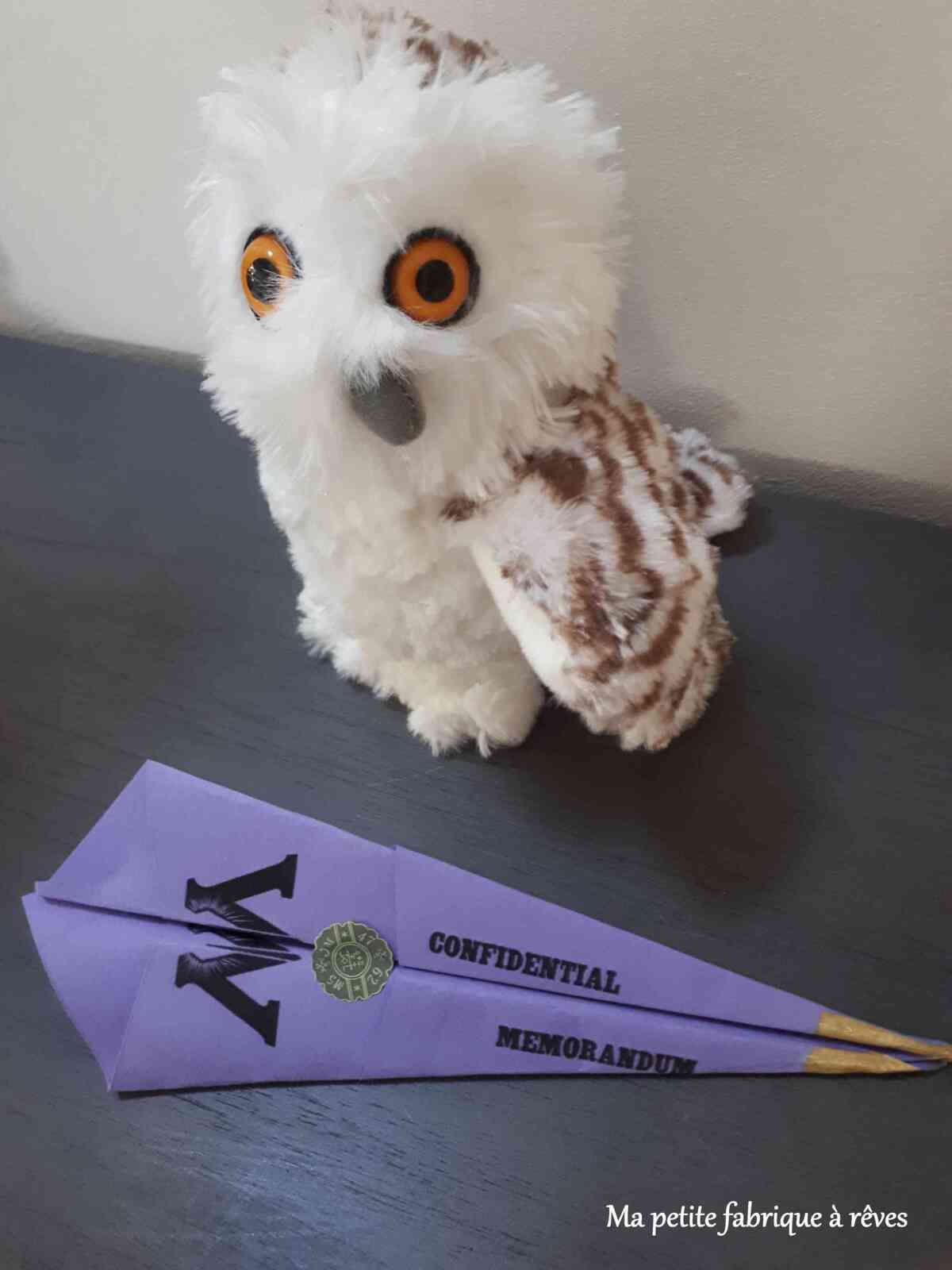 Memorandum anniversaire Harry Potter
