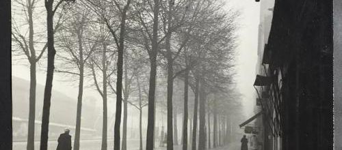 PARIS fifties