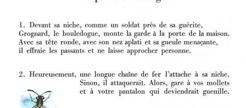Guêpe et bouledogue