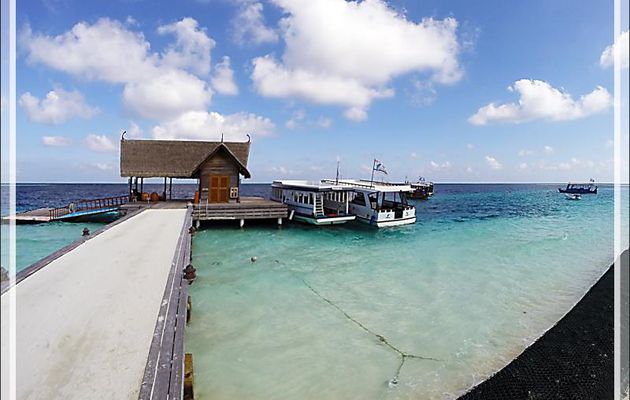 Départ pour une plongée avec les sublimes raies Manta en espérant qu'elles seront présentes sur leur station de nettoyage - Moofushi - Maldives