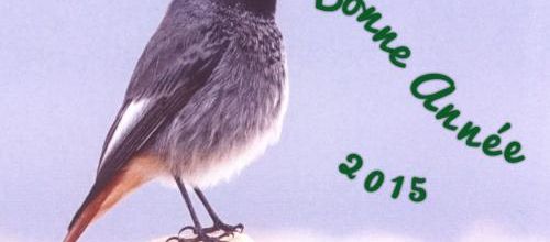 Meilleurs vœux 2015