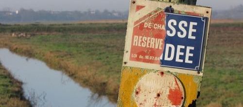 dans notre marais!