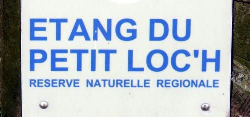 Balade à l'étang du petit Loc'h -3