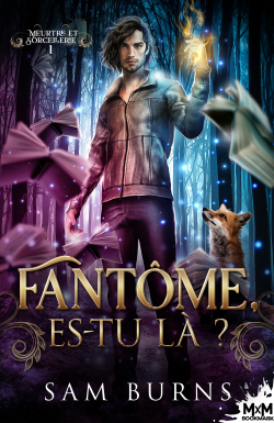 Meurtre et sorcellerie, Tome 1 : Fantôme, es-tu là ?