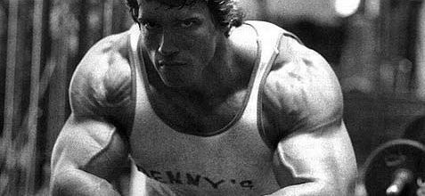 ARNOLD SCHWARZENEGGER BOX OFFICE