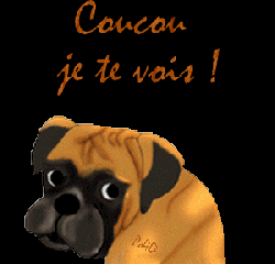 Mise à l'honneur Petit panier 3