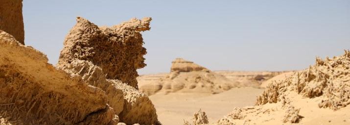 L’aire protégée de Wadi al-Hitan 2, Egypte 2023