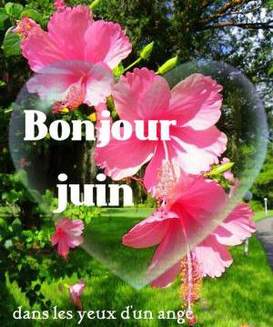 Les fleurs de mon jardin au mois de juin