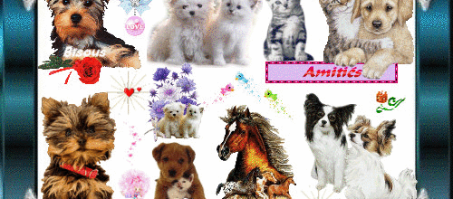 CADRE ANIMAUX
