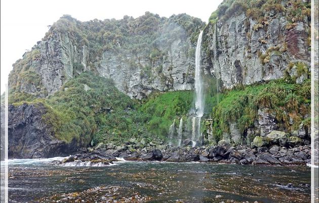 Autour de la cascade de Raised Beach - Gough Island - Tristan da Cunha