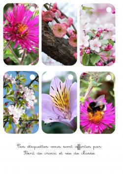 Cartonnettes fleurs à imprimer