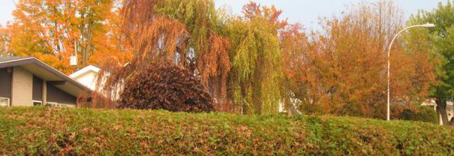 Couleurs nature pour rendre grâce!!!