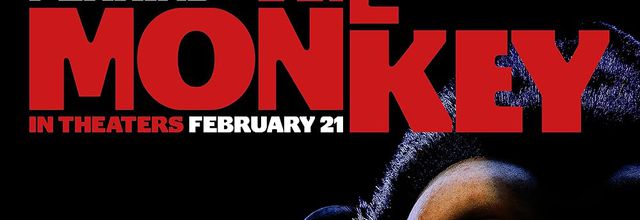 Don't Waste Your Time - A Review of The Monkey