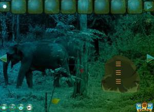 Elephant forest escape soluce
