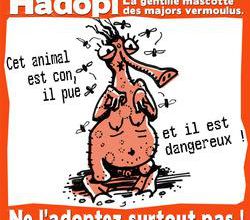 LES SOLUTIONS CONTRE LA LOI