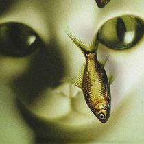 Haruki Murakami, Kafka sur le rivage,