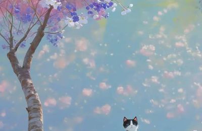 Chat thérapie dans un champ de fleurs