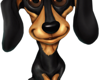 Après-midi "café / balade calèche" pour Galgos France