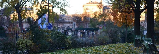  L'île de la Cité : Square René-Viviani - Montebello