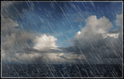 Merci la pluie...........