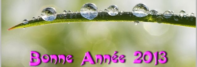 Goutte d'eau (3)