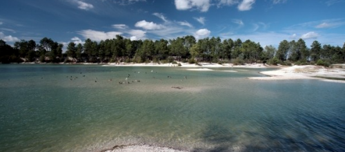 Marche 10 03 Février à Léognan Lac Bleu nouveau parcours