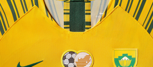 Maillot Afrique du Sud féminin mondial 2019 domicile
