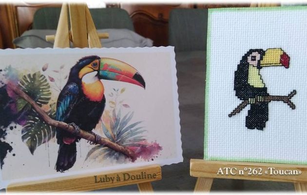 ATC "Toucan" chez Tortue