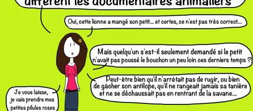 Mange ton antilope !