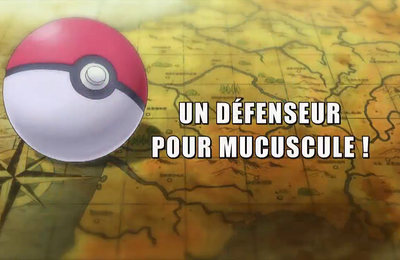 Pokémon - 18x08 - Un défenseur pour Mucuscule !