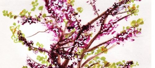 Recherche graphique  (again and again ^^ )