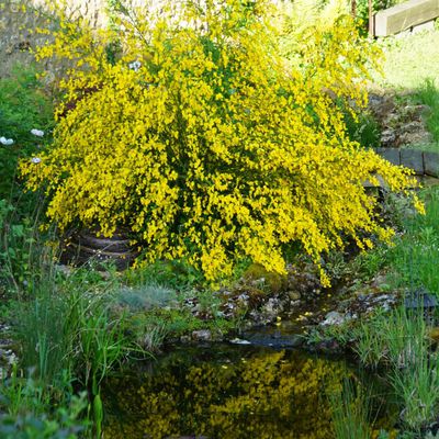 Instant miroir