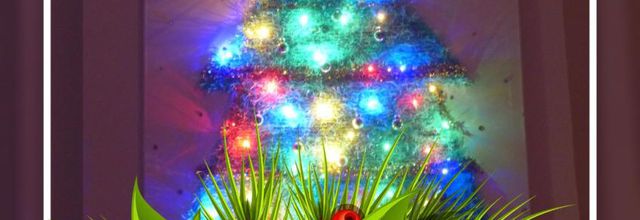 Noël scintillant