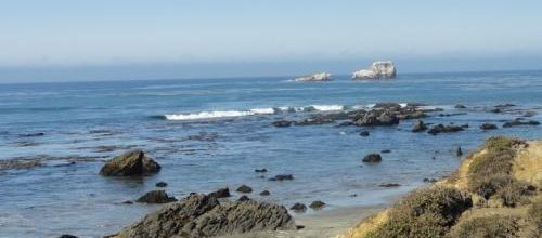 14 et 15 septembre: le cri des phoques au bout du Wharf à Monteret
