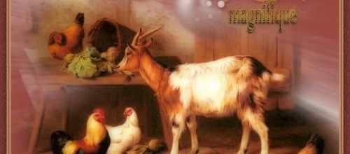 J'aime les animaux...