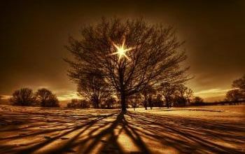 Sagesse : le savoir-être heureux !