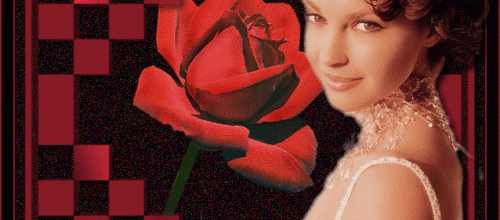  La rose échiquier .