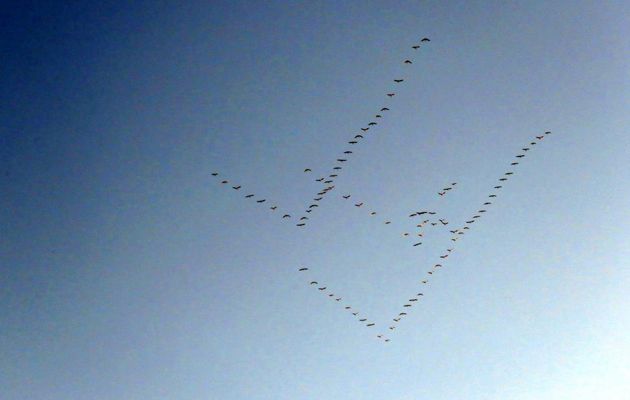 elles passent dans le ciel !!!
