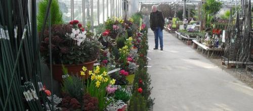 bonjour. me voila de retour.