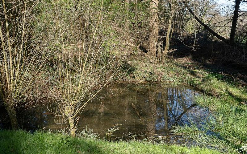 Forêt de Chaux : Si je vous dis 14 ? (1)