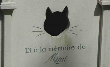 Asnières, le cimetière des animaux :