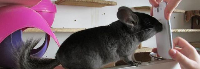 Lilou la ptite Star poseuse