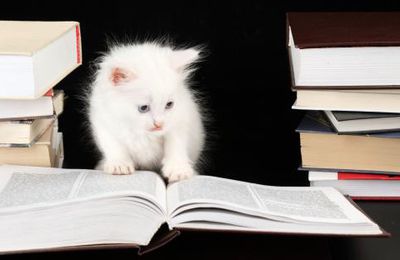 Lectures en 2022 (73 livres lus)